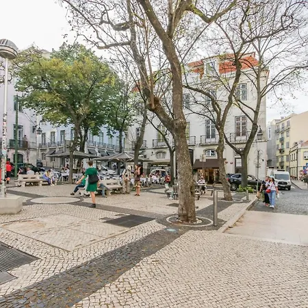 Condessa 29 E 33 아파트 *